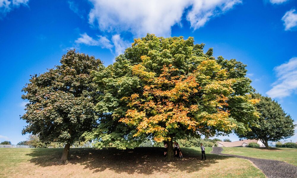 Fairtrade Achiever School